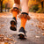 Themed & Holiday Socks for Runners