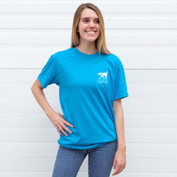 TURQUOISE