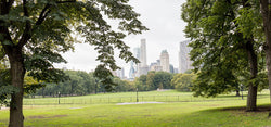 The Grand Return of the Central Park Marathon