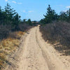 Summer Running Tips