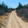 Summer Running Tips