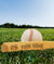 Baseballs & Bats