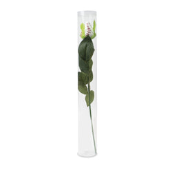 Baseball Rose