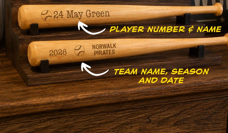 Mini Softball Bats Responsive 2