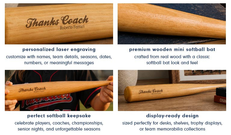 Mini Softball Bats Responsive 3