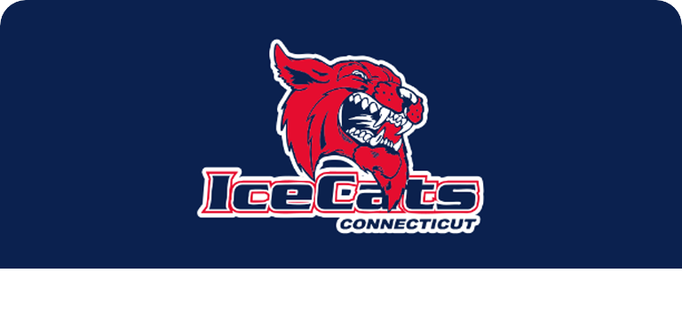 ICECATS STORE