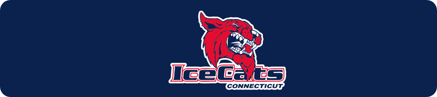 ICECATS STORE