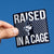 Baseball Sticker - Raised In A Cage