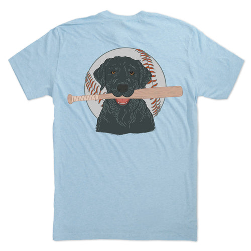 HEATHERCOLUMBIABLUE / AXS