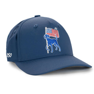 Classic Performance Hat - USA 250