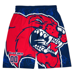 Hockey Beckett™ Shorts - Ice Cats - Pride