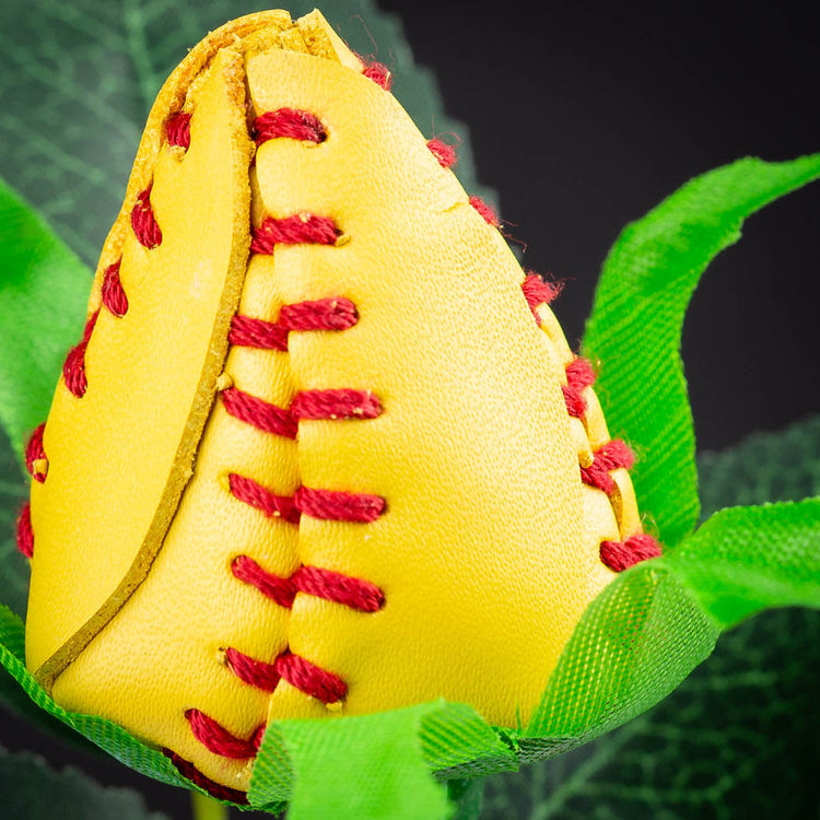 Softball Rose