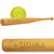 Engraved Mini Softball Bat - Player Information
