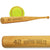 Engraved Mini Softball Bat - Team Name and Player Name