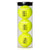 Custom Text Tennis Ball (3 Pack in Can)
