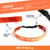 Athletic Juliband Non-Slip Headband - Suck It Up Butterup