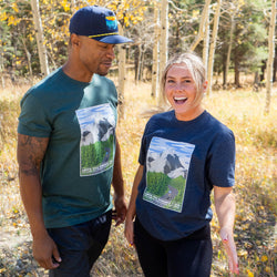 FORESTGREEN||NAVY
