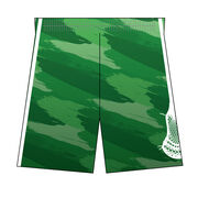 Custom Team Shorts - Guys Lacrosse Brush Stroke