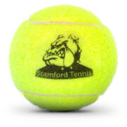 Your Logo Tennis Ball