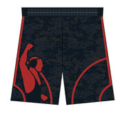 Custom Team Shorts - Wrestling Hit the Mats