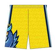 Custom Team Shorts - Basketball Rep Your Logo