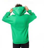 Pickleball Hooded Sweatshirt - Kind Of A Big Dill