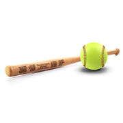 Engraved Mini Softball Bat - Thanks Coach With Roster