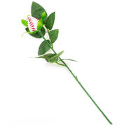 Baseball Rose