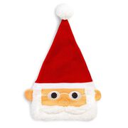 Happy Hatter Santa Beanie Hat & Mask