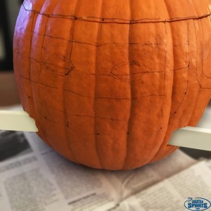 Pumpkin2