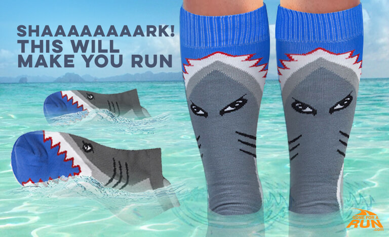Sharkkkkkk! This shark will make you run...
