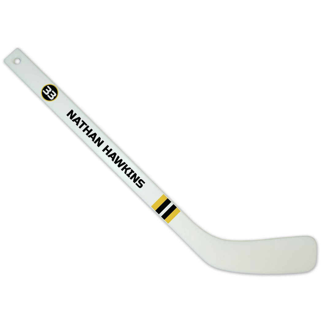 minor league hockey boston massachusetts youth hockey expensive