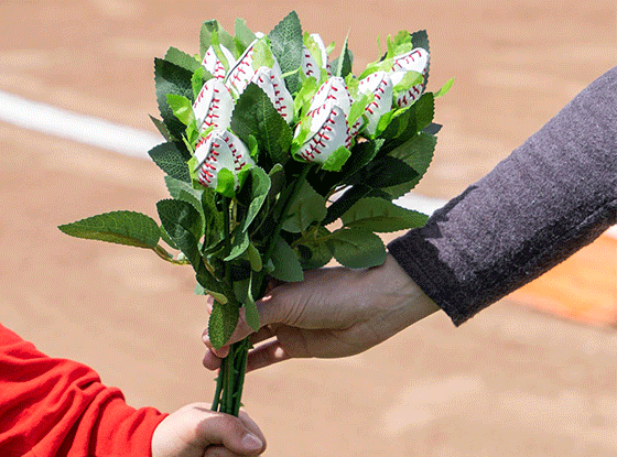 Shop Baseball Roses
