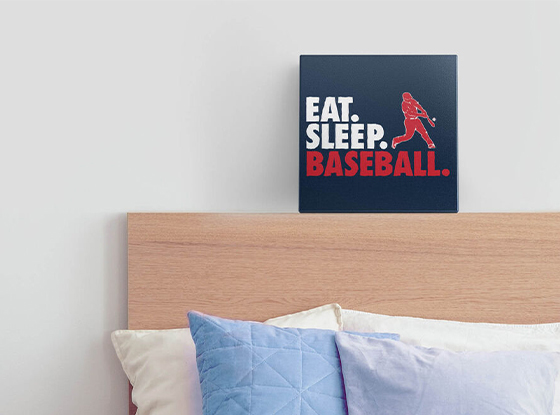 Shop Our Eat Sleep Baseball Canvas Wall Art