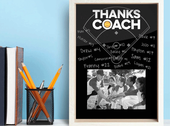 Shop Softball Coach Premier Frame