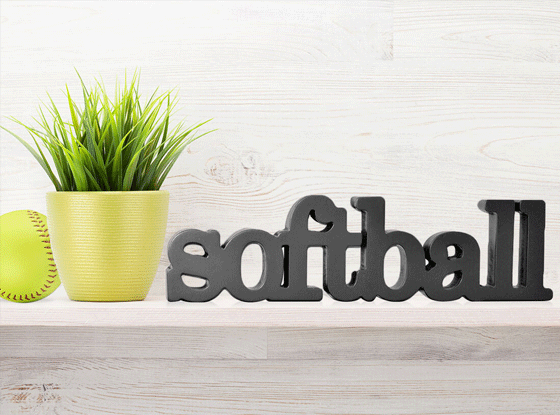 Shop Softball Decorative Wood Words